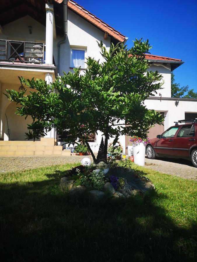 Casa Del Fasa Apartment Polanica-Zdroj Exterior photo